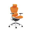 Modern Mesh Office Ergonomic High Back Office Chair